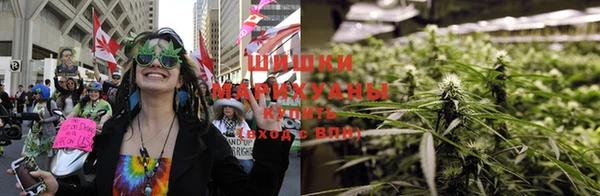 молекула духа Аркадак