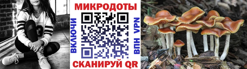 Псилоцибиновые грибы Cubensis  darknet наркотические препараты  Сретенск 